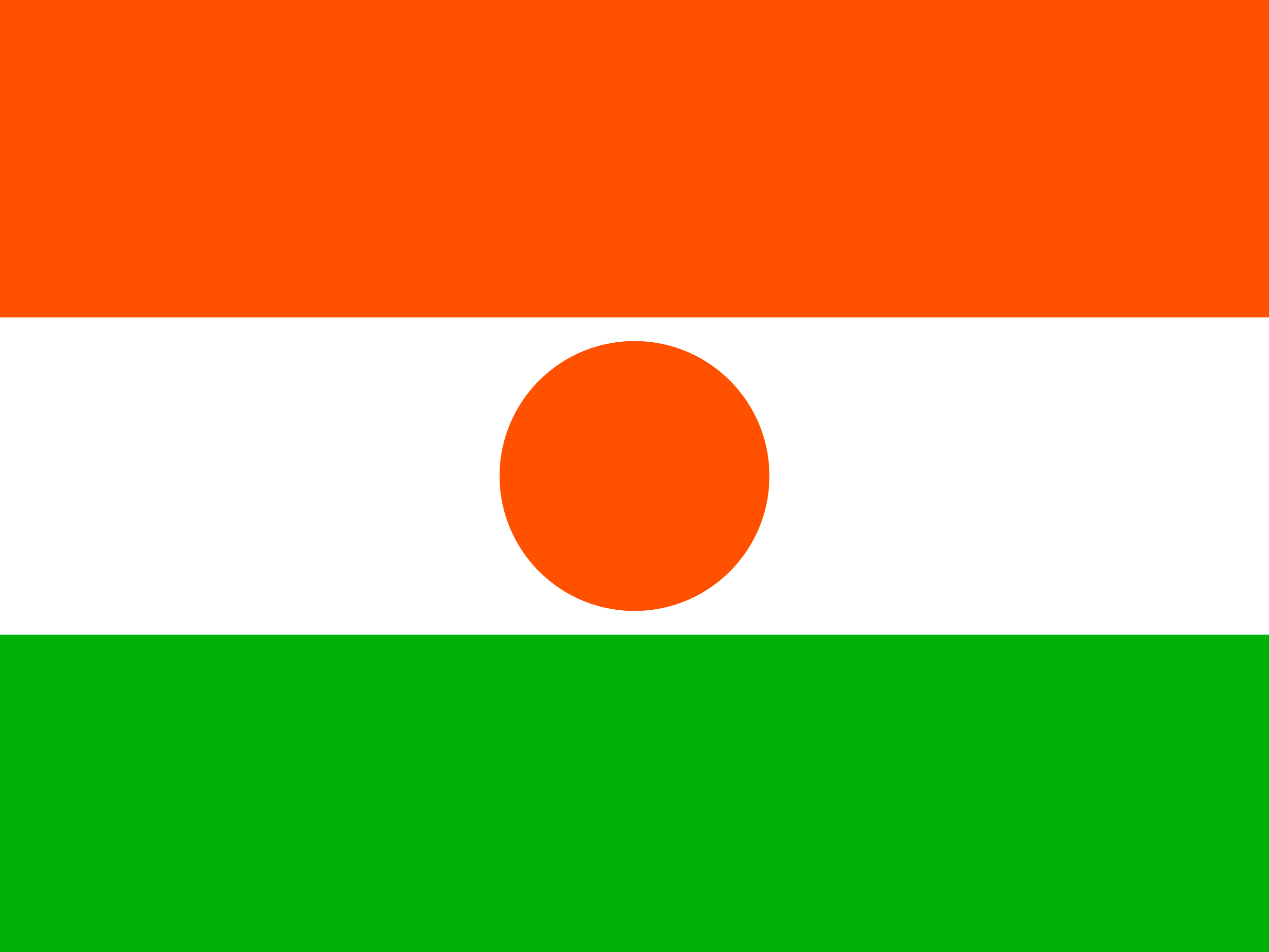 नाइजर का झंडा