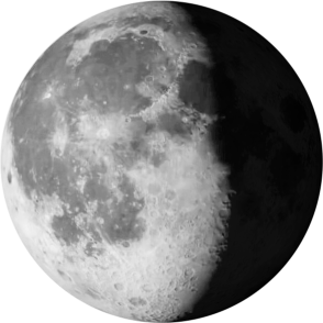 कृष्ण पक्ष की गिबस